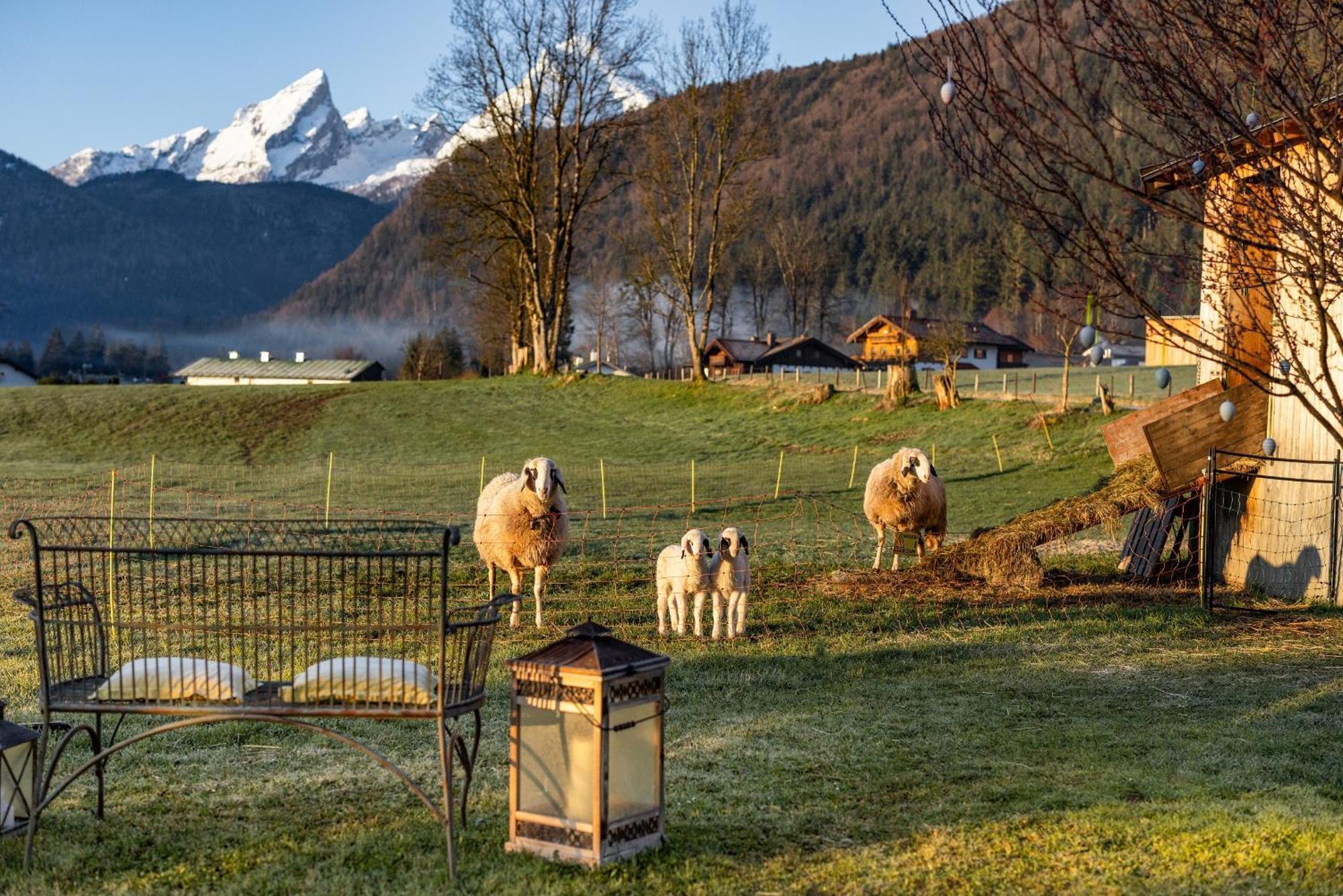 Wassererlehen Bischofswiesen Eksteriør billede